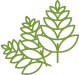 Mission Icon